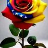 ana.rivero412