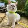 grigrikitten