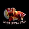 mh.bettafish