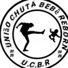 ucbr599
