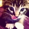 dominik..__.._