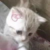 to_la_titt