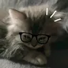 nobod_.is.here