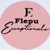 flepu.exceptional