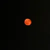 autumnmoon.x