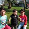 gltekin.koyuncu