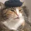 warthunder.content.eu