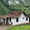 MUSICA CAMPESINA