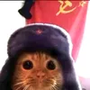 edgar.rolando.gar3