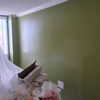 chameleonpaintingdmv