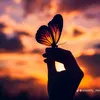 mariposas_delos_c