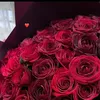 sh_bamarni07