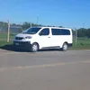 pequestonito
