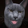 mad.dy4