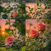 faysal2148