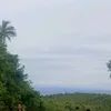 evahdtrends