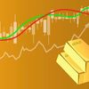 traderclub311