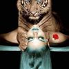 tigre1609
