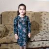 lowzanshbair