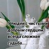 user8873039201296