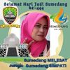 sulastri.yanti60