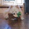 dogmicky1