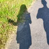 emmie_dmmn