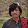naseer.turaab