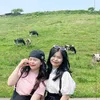 ngochinh_75