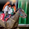 meshal5748