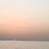 auri.macaluso14