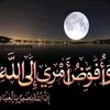user401946108225