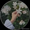 sharmin4599