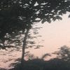 feni.rizkianto