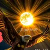 user20233901731115