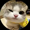 minh.ly.tran.thi