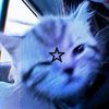 bluei_ww