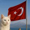 semercioglu34