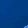 jorge_villael