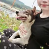 onpie_22
