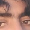 salal.karim