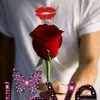 user28205197799194