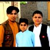 hamidzebjan4422