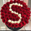 user1302790225708