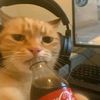 callmelaw0