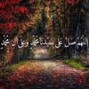 user2769517252618