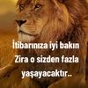 xnmzldl