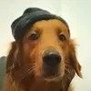 arbrahanmd