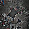 wyzbeenationking3