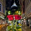 hano_6_7